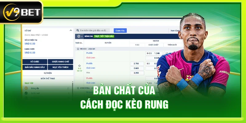 Bản chất của Cách đọc kèo rung