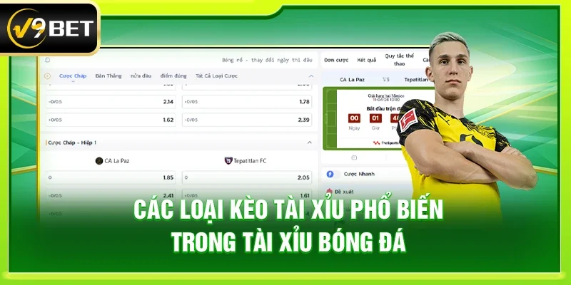 Các loại kèo tài xỉu phổ biến trong tài xỉu bóng đá