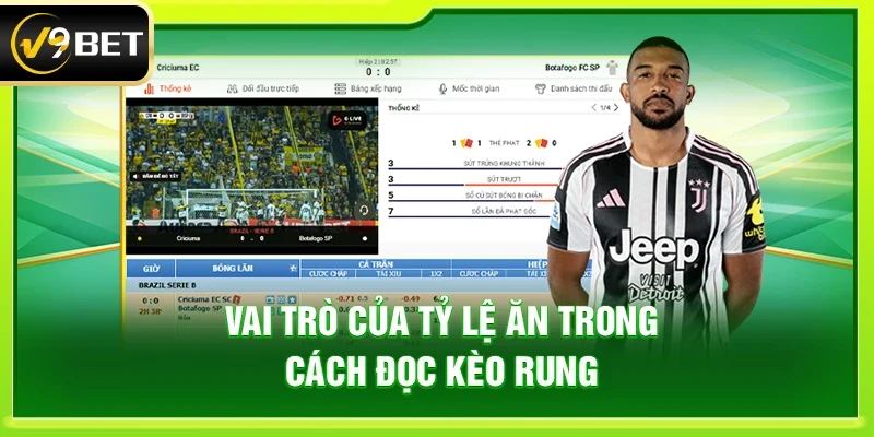 Cách đọc kèo rung – Hiểu đúng bảng kèo để phân tích trận đấu